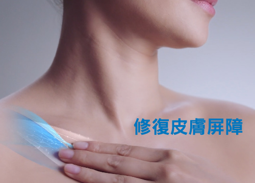 CeraVe Is Born
